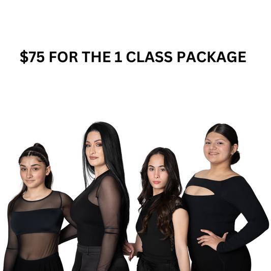 1 Class Package